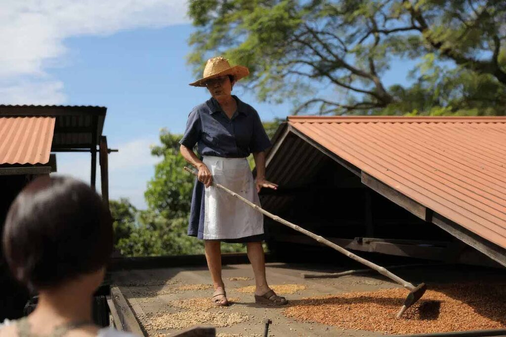 Kona Coffee LIving History Farm Tour