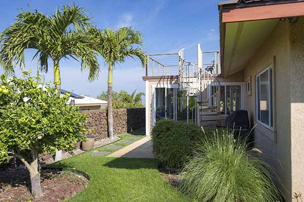 68-3548 Haia St Landscaping